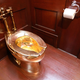 Image for article titled Someone Stole a Solid Gold Toilet From Winston Churchill's House